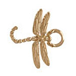 touch changeable charm