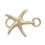 charm-star-g
