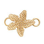 charm-star