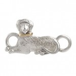 dog-gold