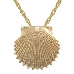 pendant-shell